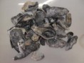 /album/galeria-de-fotos-sobre-nos/ostrinhas-pretas-jpg1/